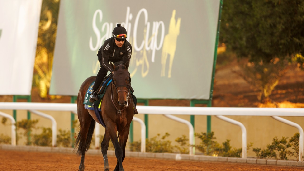 Elliot Walden Reflects On His 2022 Dubai World Cup Runners, ... Image 1